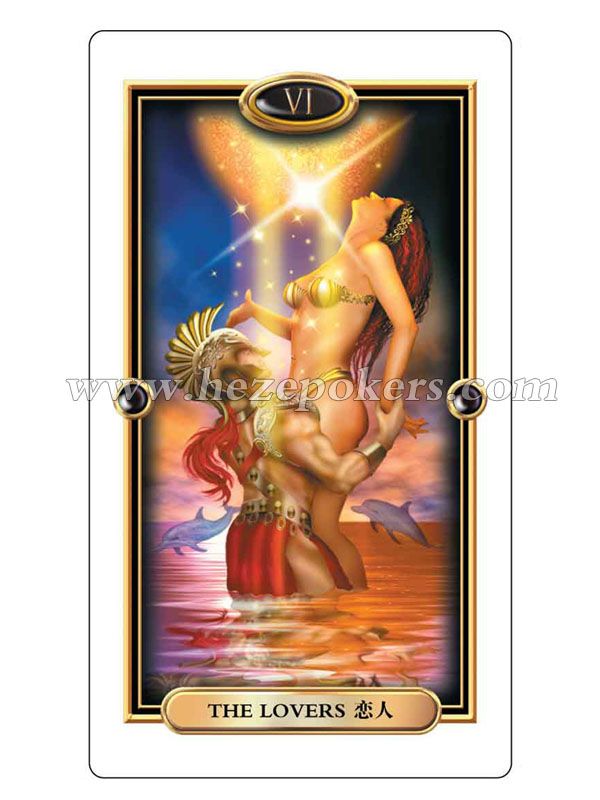 �Ž�������-��